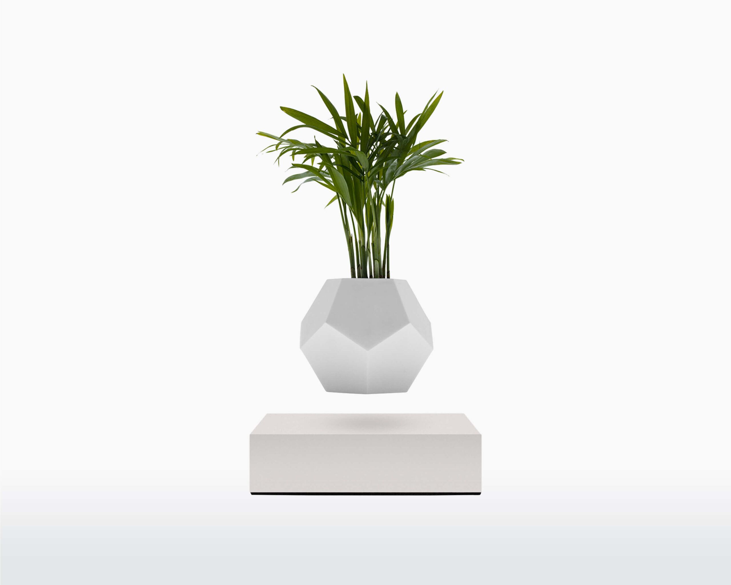 lyfe flyte levitating plant white base scaled 1.jpg