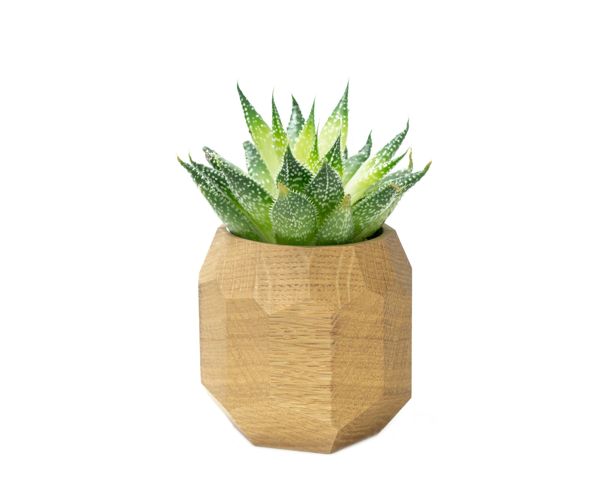 jardinière géométrique chêne oakywood 1