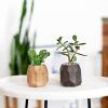 geometric planter walnut mood pics 2 geometric planter walnut mood pics 2
