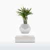 lyfe flyte levitating plant white base scaled 1.jpg lyfe flyte levitating plant white base scaled 1.jpg