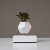 lyfe flyte levitating plant white base 4 scaled 1.jpg lyfe flyte levitating plant white base 4 scaled 1.jpg