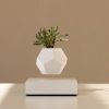 lyfe flyte levitating plant white base 2 scaled 1.jpg lyfe flyte levitating plant white base 2 scaled 1.jpg