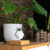 wooden amsterdam shoot jellina detmar lyfe planter oak and canal houses set of 4 medium wooden amsterdam shoot jellina detmar lyfe planter oak and canal houses set of 4 medium